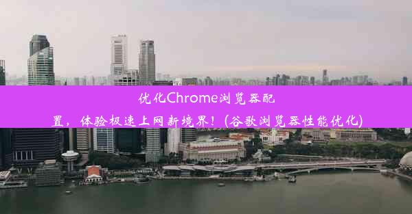 优化Chrome浏览器配置，体验极速上网新境界！(谷歌浏览器性能优化)