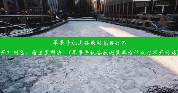 苹果手机上谷歌浏览器打不开？别急，看这里解决！(苹果手机谷歌浏览器为什么打不开网站)