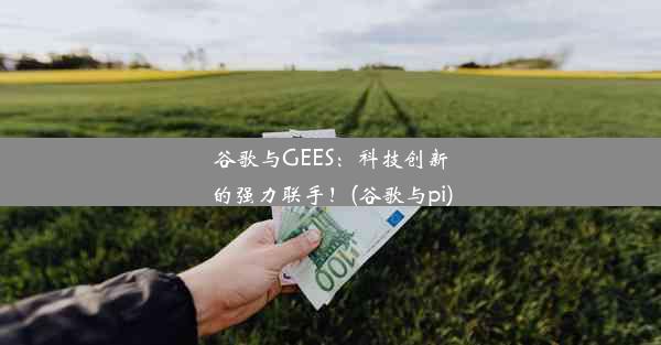 谷歌与GEES：科技创新的强力联手！(谷歌与pi)