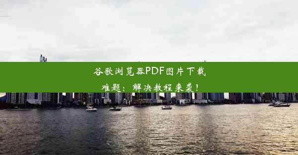 谷歌浏览器PDF图片下载难题：解决教程来袭！