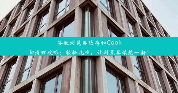 谷歌浏览器缓存和Cookie清理攻略：轻松几步，让浏览器焕然一新！