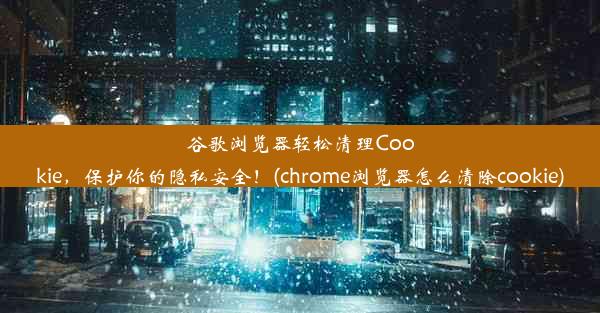 谷歌浏览器轻松清理Cookie，保护你的隐私安全！(chrome浏览器怎么清除cookie)