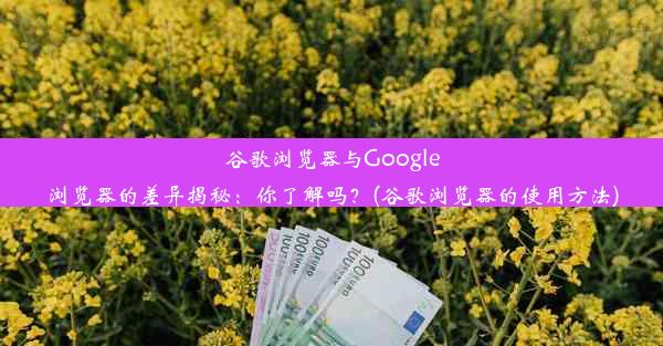 谷歌浏览器与Google浏览器的差异揭秘：你了解吗？(谷歌浏览器的使用方法)