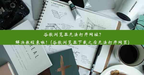 谷歌浏览器无法打开网址？解决教程来啦！(谷歌浏览器下载之后无法打开网页)