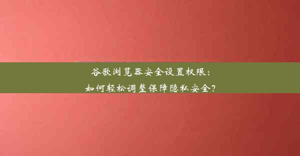 谷歌浏览器安全设置权限：如何轻松调整保障隐私安全？