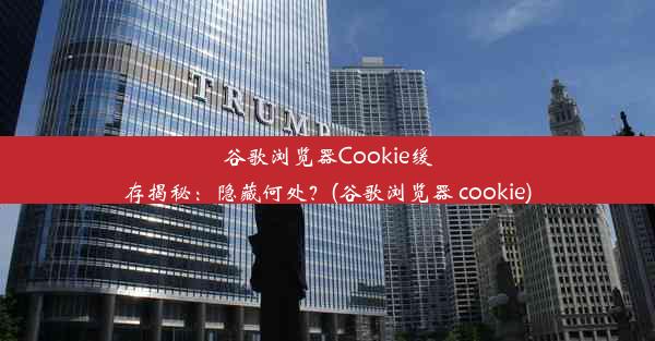 谷歌浏览器Cookie缓存揭秘：隐藏何处？(谷歌浏览器 cookie)