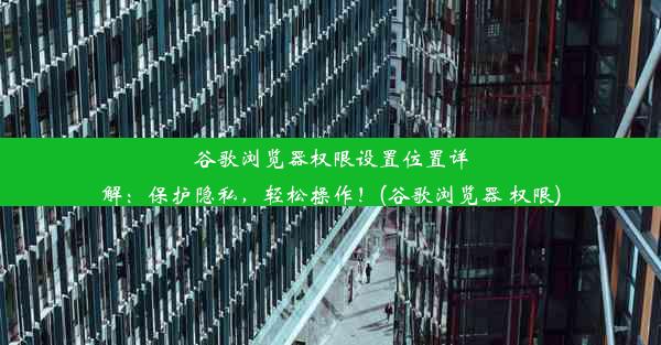 谷歌浏览器权限设置位置详解：保护隐私，轻松操作！(谷歌浏览器 权限)