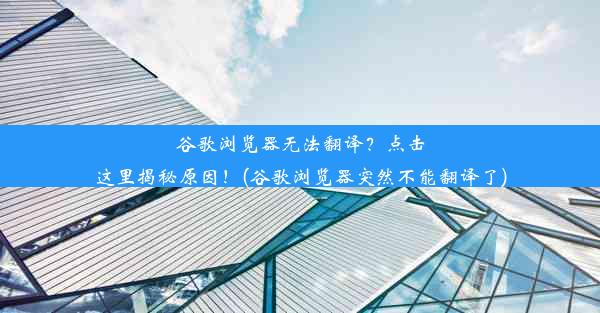 谷歌浏览器无法翻译？点击这里揭秘原因！(谷歌浏览器突然不能翻译了)