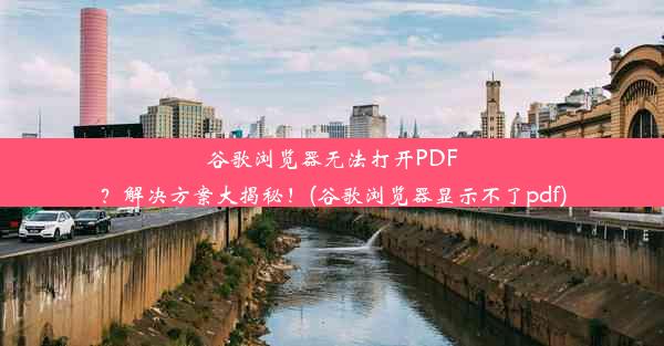 谷歌浏览器无法打开PDF？解决方案大揭秘！(谷歌浏览器显示不了pdf)