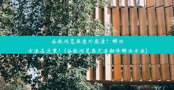 谷歌浏览器意外崩溃？解决方法在这里！(谷歌浏览器无法翻译解决方法)