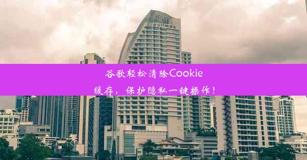 谷歌轻松清除Cookie缓存，保护隐私一键操作！