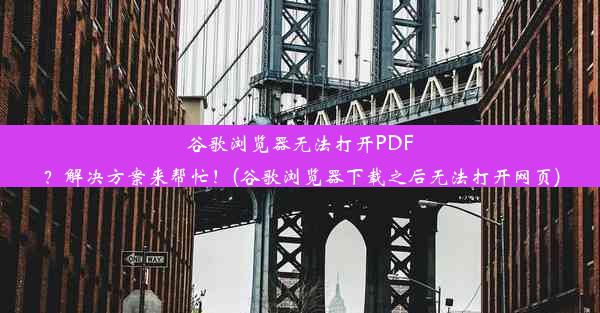 谷歌浏览器无法打开PDF？解决方案来帮忙！(谷歌浏览器下载之后无法打开网页)