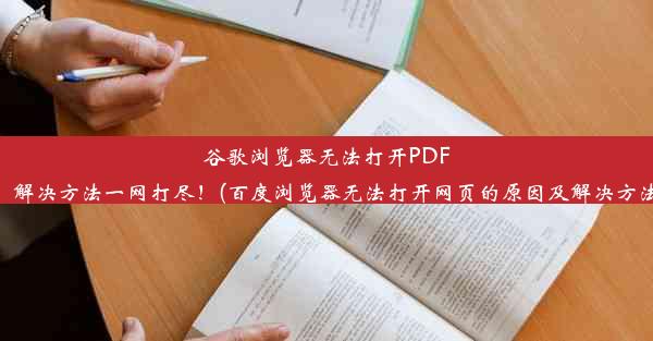 谷歌浏览器无法打开PDF？解决方法一网打尽！(百度浏览器无法打开网页的原因及解决方法)