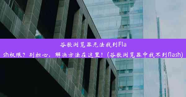 谷歌浏览器无法找到Flash权限？别担心，解决方法在这里！(谷歌浏览器中找不到flash)