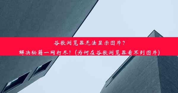 谷歌浏览器无法显示图片？解决秘籍一网打尽！(为何在谷歌浏览器看不到图片)