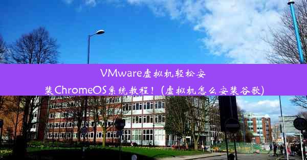 VMware虚拟机轻松安装ChromeOS系统教程！(虚拟机怎么安装谷歌)