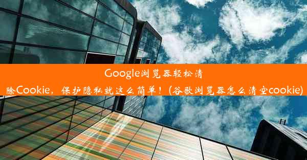 Google浏览器轻松清除Cookie，保护隐私就这么简单！(谷歌浏览器怎么清空cookie)