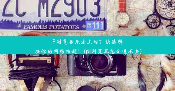 P浏览器无法上网？快速解决你的网络难题！(pi浏览器怎么进不去)