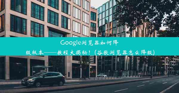 Google浏览器如何降级版本——教程大揭秘！(谷歌浏览器怎么降级)