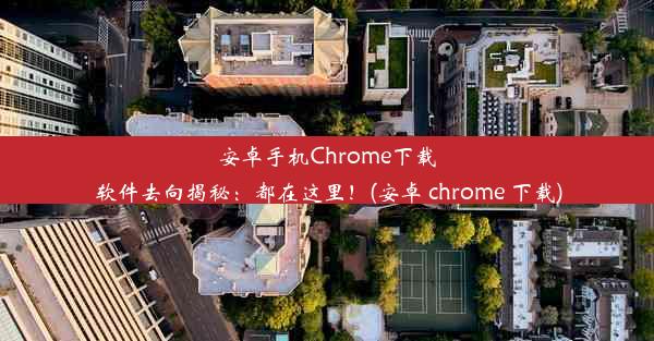 安卓手机Chrome下载软件去向揭秘：都在这里！(安卓 chrome 下载)