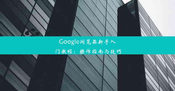 Google浏览器新手入门教程：操作指南与技巧