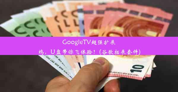 GoogleTV超强扩展坞，U盘带你飞体验！(谷歌拓展套件)