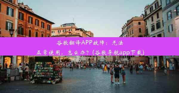 谷歌翻译APP故障：无法正常使用，怎么办？(谷歌导航app下载)