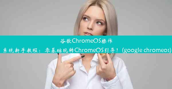 谷歌ChromeOS操作系统新手教程：零基础玩转ChromeOS引导！(google chromeos)