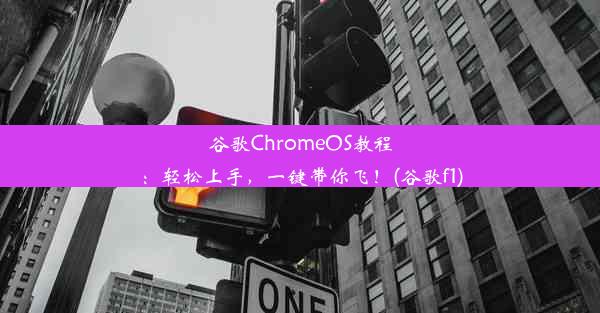 谷歌ChromeOS教程：轻松上手，一键带你飞！(谷歌f1)