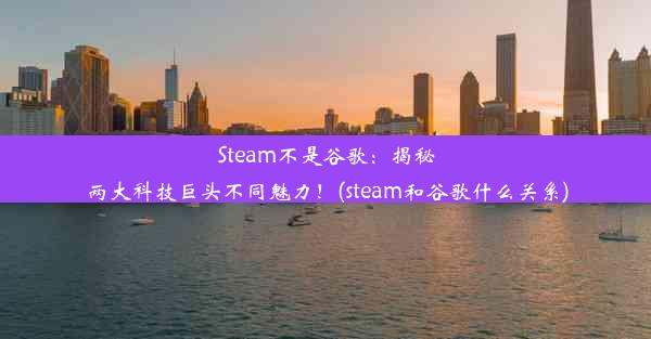 Steam不是谷歌：揭秘两大科技巨头不同魅力！(steam和谷歌什么关系)