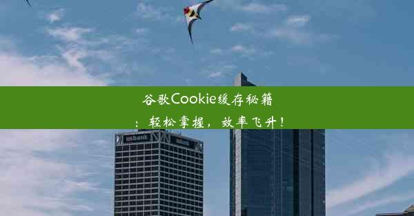 谷歌Cookie缓存秘籍：轻松掌握，效率飞升！