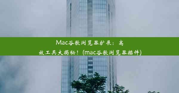 Mac谷歌浏览器扩展：高效工具大揭秘！(mac谷歌浏览器插件)