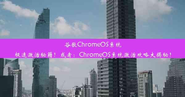 谷歌ChromeOS系统极速激活秘籍！或者：ChromeOS系统激活攻略大揭秘！