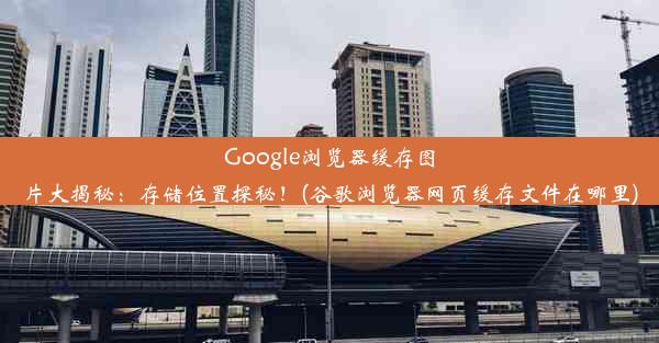 Google浏览器缓存图片大揭秘：存储位置探秘！(谷歌浏览器网页缓存文件在哪里)